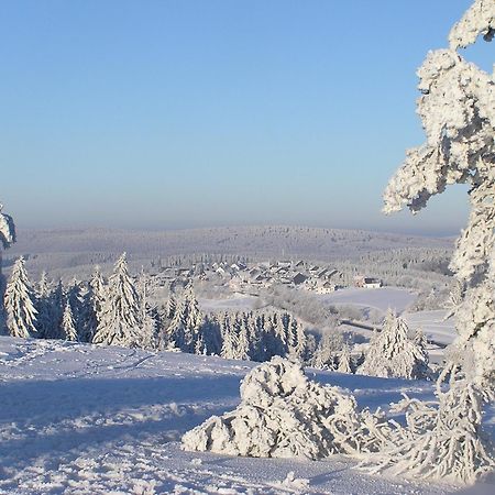 Romantik Berghotel Astenkrone Winterberg Bagian luar foto