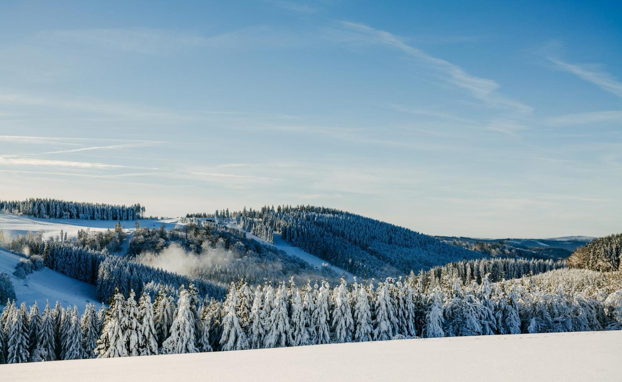 Romantik Berghotel Astenkrone Winterberg Bagian luar foto
