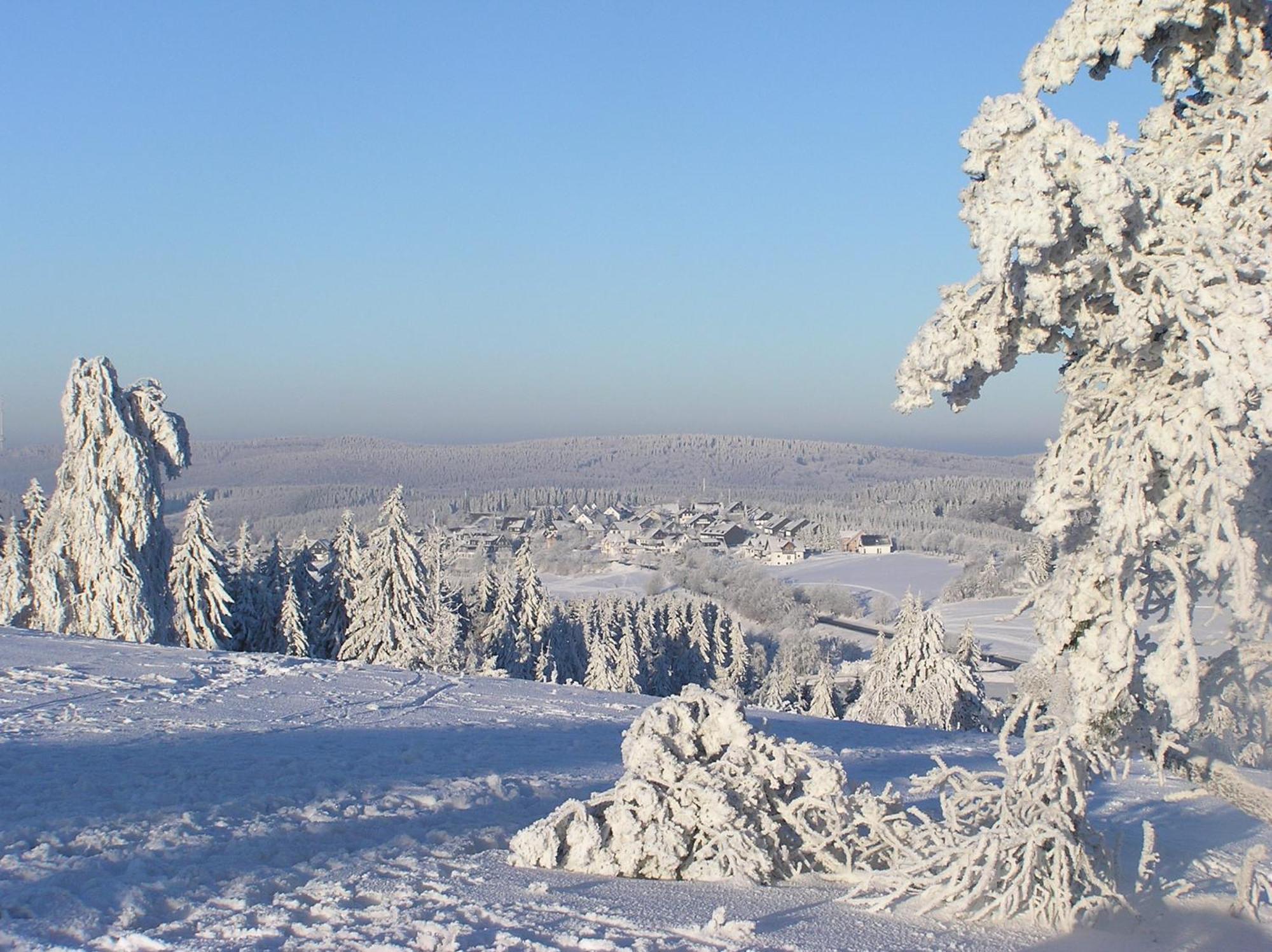 Romantik Berghotel Astenkrone Winterberg Bagian luar foto