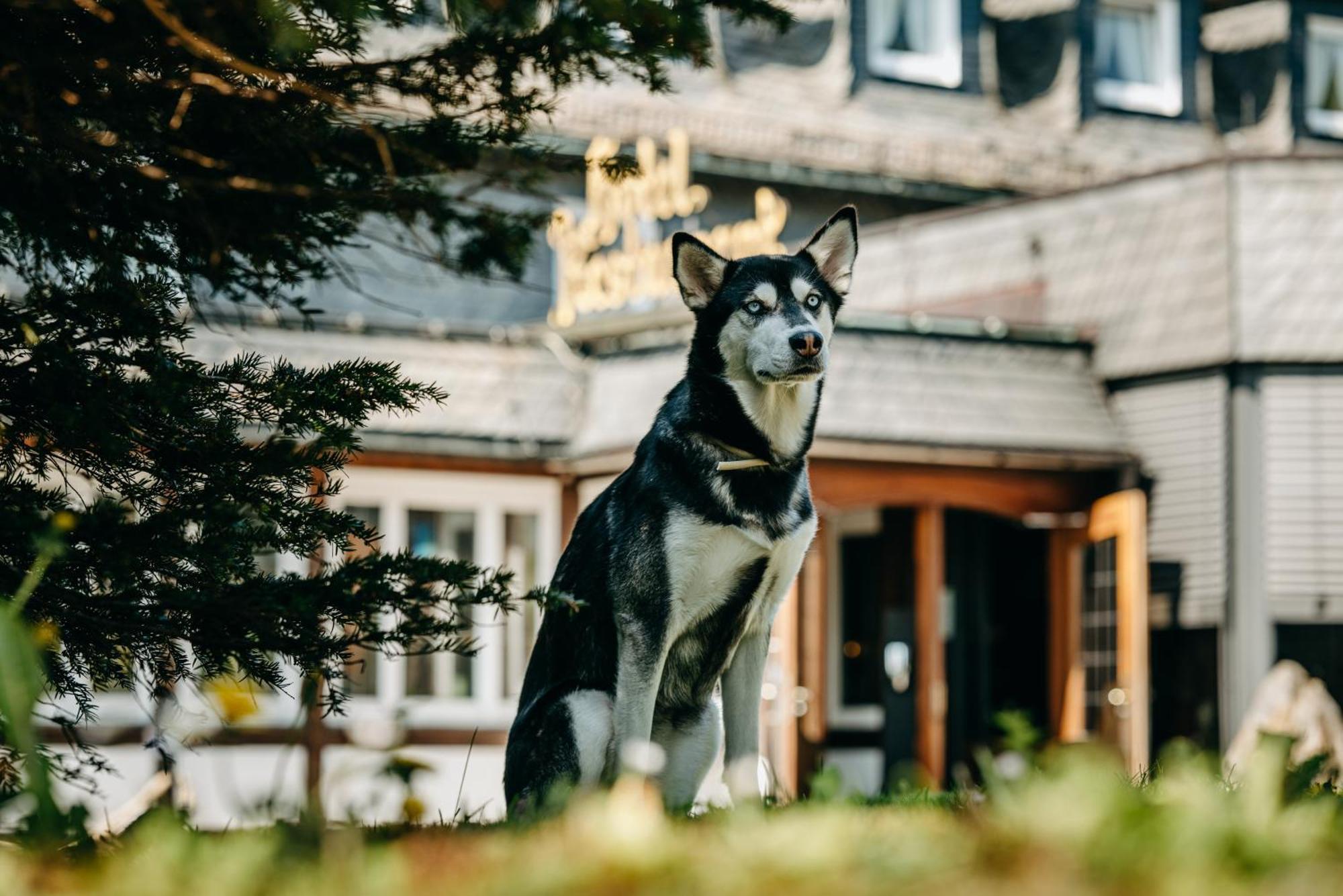 Romantik Berghotel Astenkrone Winterberg Bagian luar foto